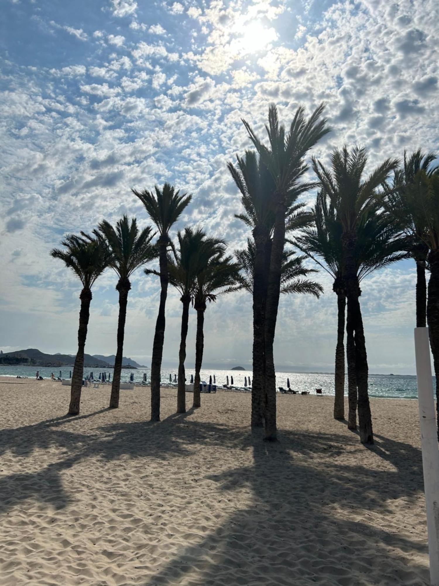 Casa Nido * Villajoyosa
